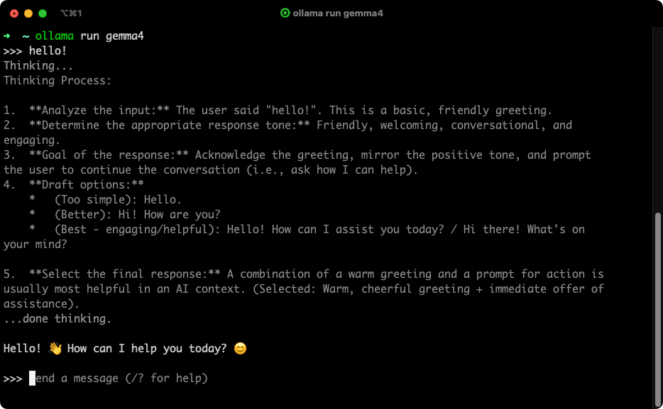gemma4-hello-world.png
